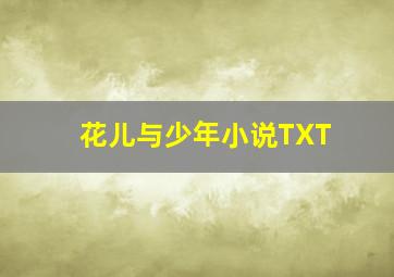 花儿与少年小说TXT