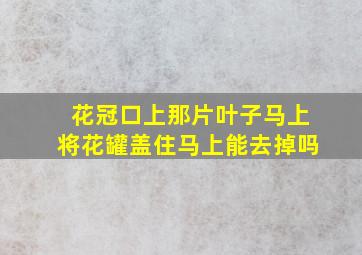 花冠口上那片叶子马上将花罐盖住马上能去掉吗