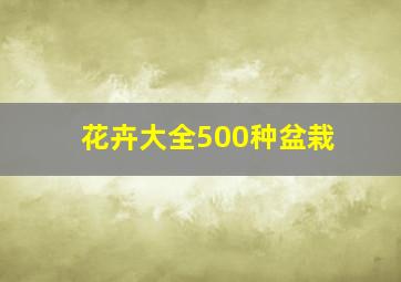 花卉大全500种盆栽