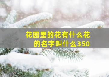 花园里的花有什么花的名字叫什么350