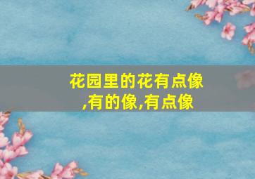 花园里的花有点像,有的像,有点像