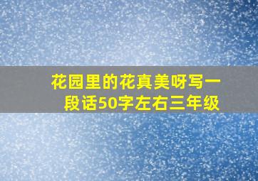 花园里的花真美呀写一段话50字左右三年级