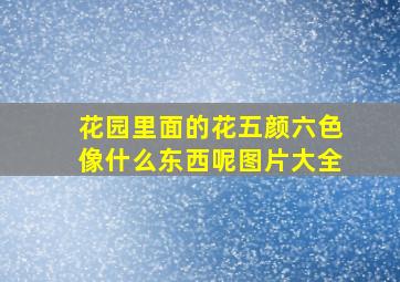 花园里面的花五颜六色像什么东西呢图片大全