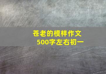 苍老的模样作文500字左右初一