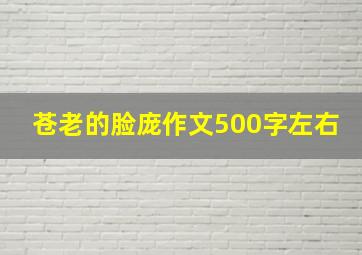 苍老的脸庞作文500字左右