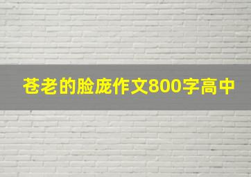 苍老的脸庞作文800字高中