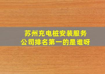 苏州充电桩安装服务公司排名第一的是谁呀