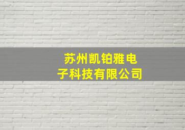 苏州凯铂雅电子科技有限公司