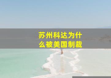 苏州科达为什么被美国制裁