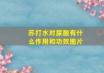 苏打水对尿酸有什么作用和功效图片