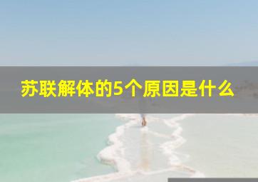 苏联解体的5个原因是什么