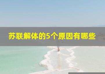 苏联解体的5个原因有哪些