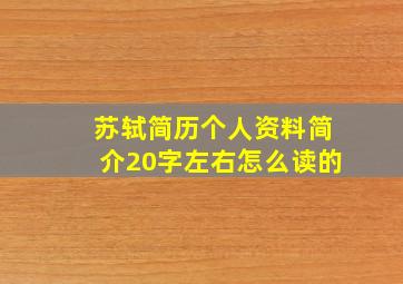 苏轼简历个人资料简介20字左右怎么读的