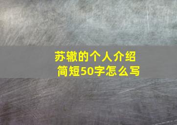 苏辙的个人介绍简短50字怎么写