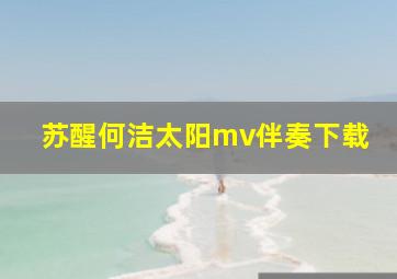 苏醒何洁太阳mv伴奏下载