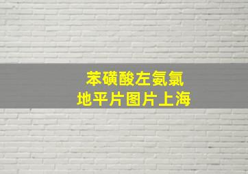 苯磺酸左氨氯地平片图片上海