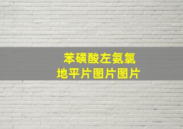 苯磺酸左氨氯地平片图片图片