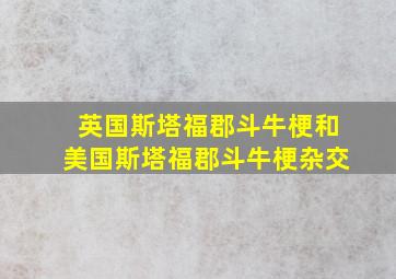 英国斯塔福郡斗牛梗和美国斯塔福郡斗牛梗杂交