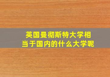 英国曼彻斯特大学相当于国内的什么大学呢