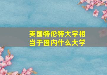 英国特伦特大学相当于国内什么大学