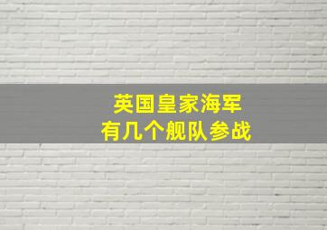 英国皇家海军有几个舰队参战