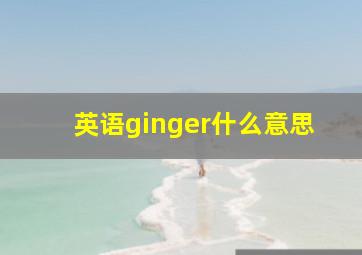 英语ginger什么意思