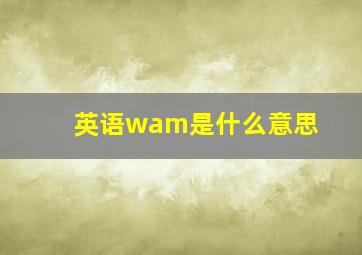 英语wam是什么意思