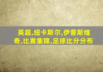 英超,纽卡斯尔,伊普斯维奇,比赛集锦,足球比分分布