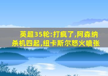 英超35轮:打疯了,阿森纳杀机四起,纽卡斯尔怒火喷张