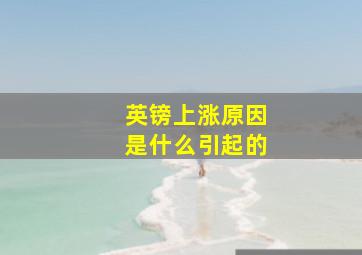 英镑上涨原因是什么引起的