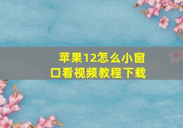 苹果12怎么小窗口看视频教程下载