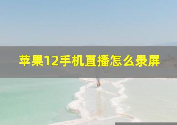 苹果12手机直播怎么录屏