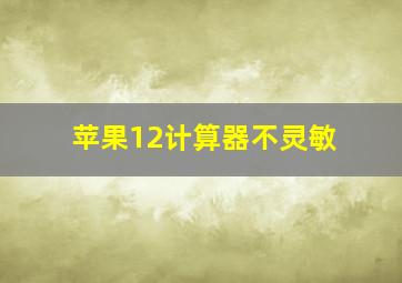 苹果12计算器不灵敏