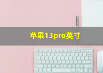 苹果13pro英寸