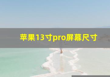 苹果13寸pro屏幕尺寸