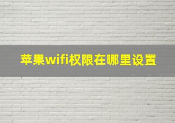 苹果wifi权限在哪里设置