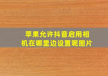 苹果允许抖音启用相机在哪里边设置呢图片