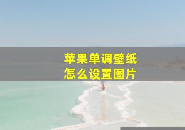 苹果单调壁纸怎么设置图片