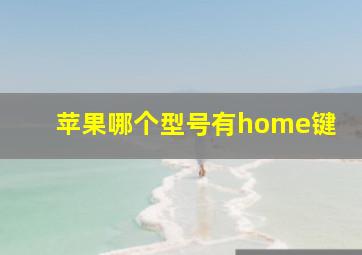 苹果哪个型号有home键