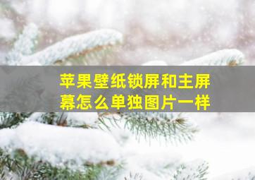 苹果壁纸锁屏和主屏幕怎么单独图片一样