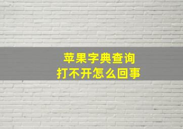 苹果字典查询打不开怎么回事