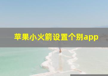 苹果小火箭设置个别app