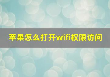 苹果怎么打开wifi权限访问