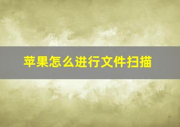 苹果怎么进行文件扫描