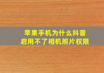 苹果手机为什么抖音启用不了相机照片权限