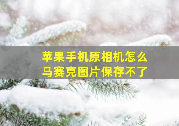 苹果手机原相机怎么马赛克图片保存不了