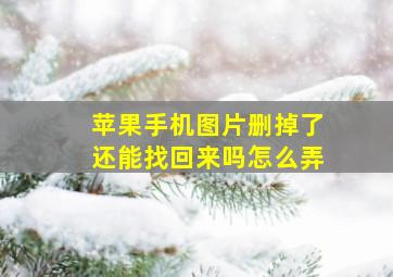 苹果手机图片删掉了还能找回来吗怎么弄