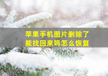 苹果手机图片删除了能找回来吗怎么恢复