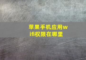 苹果手机应用wifi权限在哪里