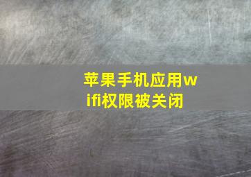 苹果手机应用wifi权限被关闭